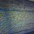 Antivirus vs. Internet Security: Know the Real Difference